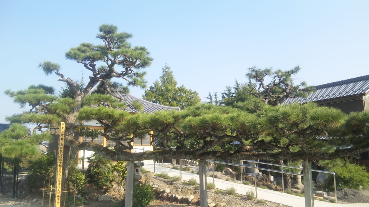 アクセス・地図